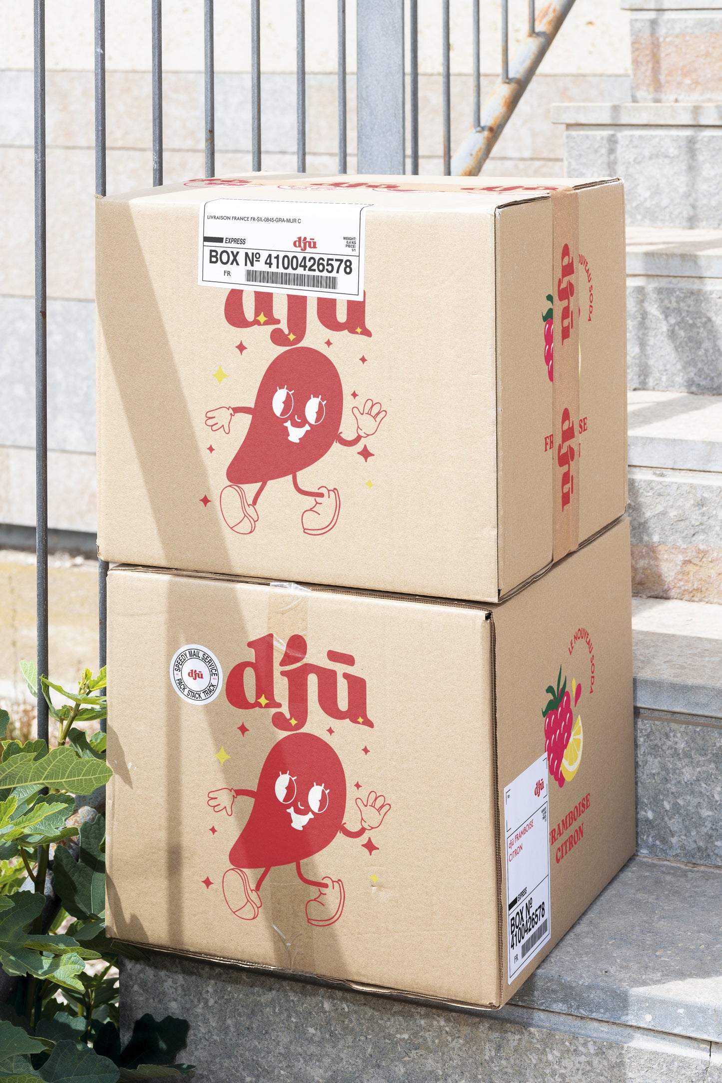 djū Kéfir de fruits framboise Citron 33cl - Pack de 6 canettes