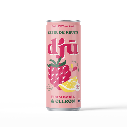 djū kéfir de fruits prébiotique
